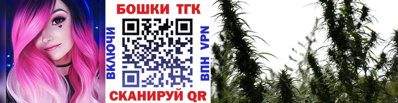 OMG ССЫЛКА  продажа наркотиков  Карачев  Канабис White Widow 
